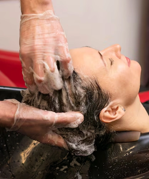 Nanoplastia Hair Treatment